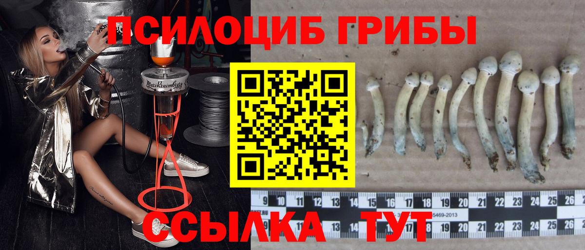 Ржев  Вход с VPN  Меф МЯУ МЯУ   ГАШ  MDMA  Конопля  Cocaine 